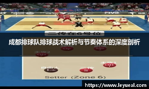 成都排球队排球战术解析与节奏体系的深度剖析
