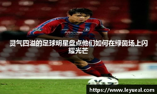 灵气四溢的足球明星盘点他们如何在绿茵场上闪耀光芒